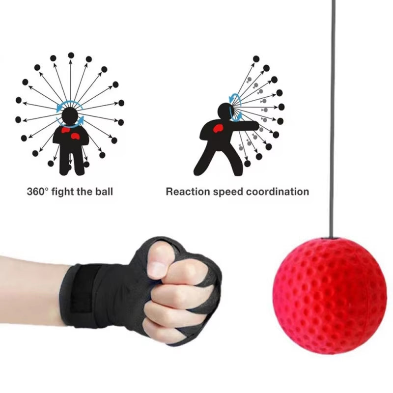 Rebound Boxing Ball